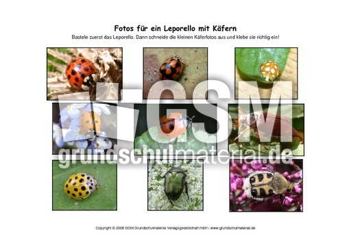 Leporello-Käfer-Fotos.pdf